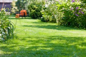 travaux jardin et paysage Vivieres